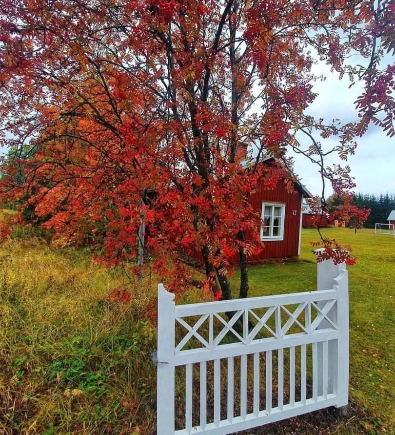 Guesthouse Ojebyn Kültér fotó
